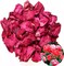 TooGet Dried Real Rose Petals, All Natural, Dried Flower Petals for Herbal Tea, Dried Rose Petals for Wedding Party Decoration